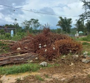 Thanh lý sắt phế liệu thu hồi sau phá dỡ tài sản kết cấu hạ tầng cầu Sông Vầu, Km0+500 tuyến ĐH1.ĐG (xã Ba – xã Tư)